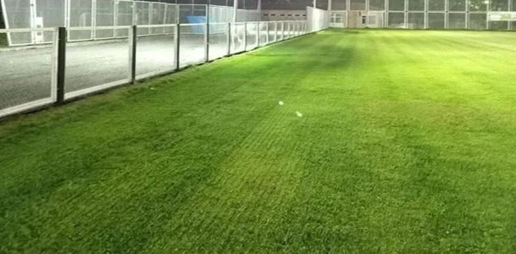 Sümer Stadı sentetik çim olacak