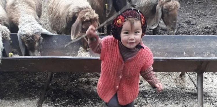 Müslüme'nin dedesi ve anneannesi serbest bırakıldı, 6 kişinin sorgusu sürüyor