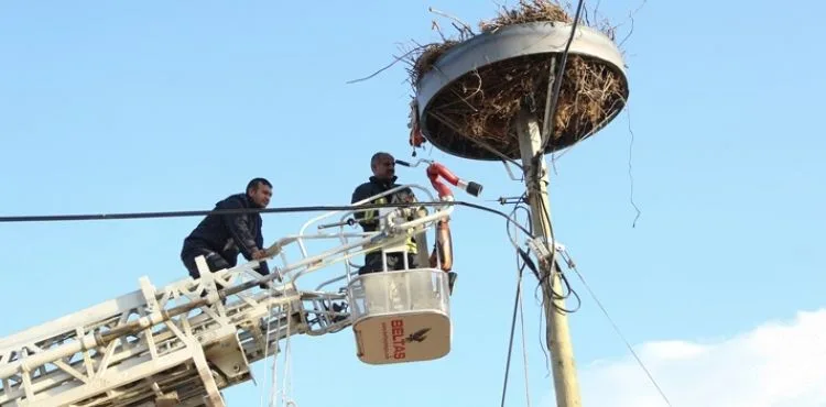 Direk Kırılınca Düşen Leylek Yuvası Onarıldı