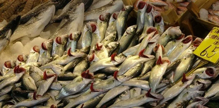 Kar yağdı, fiyatı 65 liraya geriledi