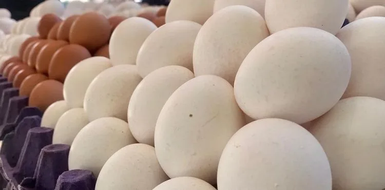 Yumurta satışlarında pazar ve markette fiyat farkı var