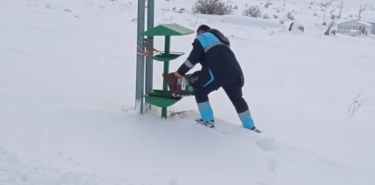 HACILAR’DA SOKAK HAYVANLARI UNUTULMUYOR