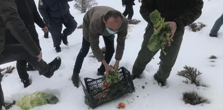 Yemleme çalışmaları devam ediyor