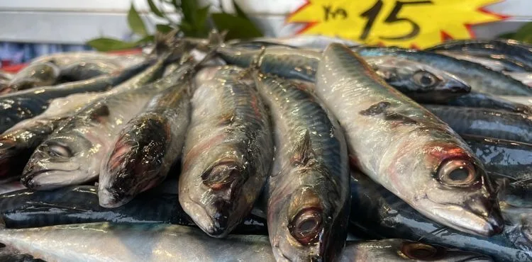 Kilosu 15 lira, kapış kapış satılıyor