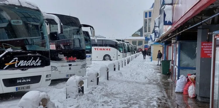 İstanbul'da şehirlerarası otobüs seferleri kontrollü olarak başladı