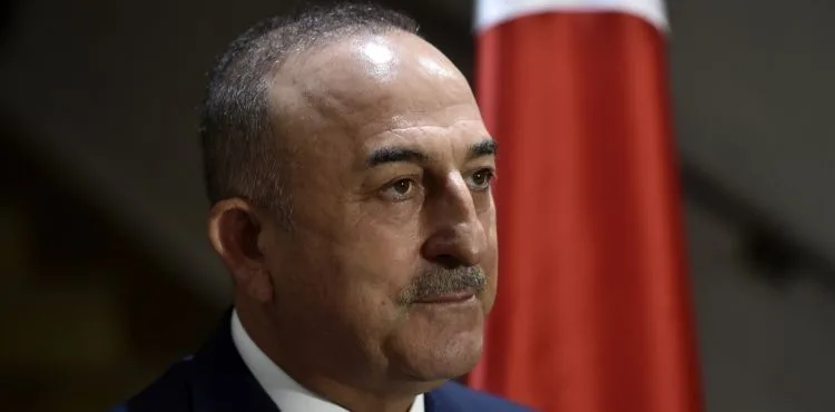 Dışişleri Bakanı Çavuşoğlu: “Bizim için Harkov'da dökülen kan ile Halep'te dökülen kan birdir”