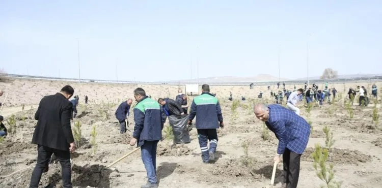 BÜYÜKŞEHİR, BAHARIN GELMESİ İLE FİDAN DİKİMİNE BAŞLADI