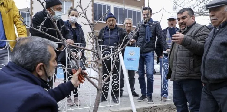 TALASLI ÇİFTÇİLERE UYGULAMALI AŞI VE BUDAMA EĞİTİMİ