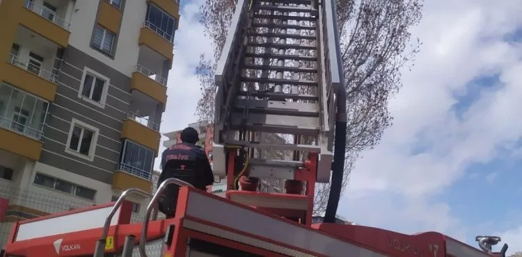 Kuş yuvası ağaç kesimini durdurdu