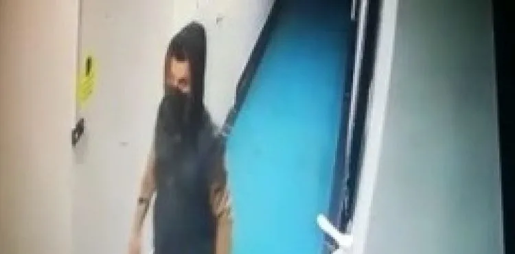 Kalorifer peteği çalan hırsız kameralara yakalandı