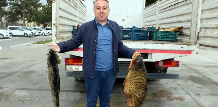 Kayseri'de 2 buçuk ton kaçak balık ele geçirildi
