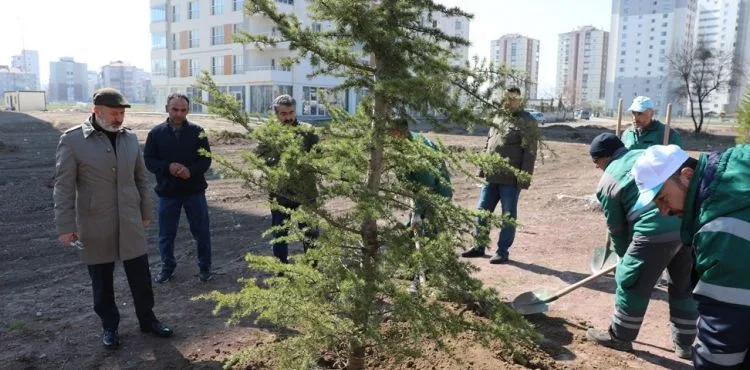 BAŞKAN ÇOLAKBAYRAKDAR, MESAİYE AĞAÇ DİKEREK BAŞLADI