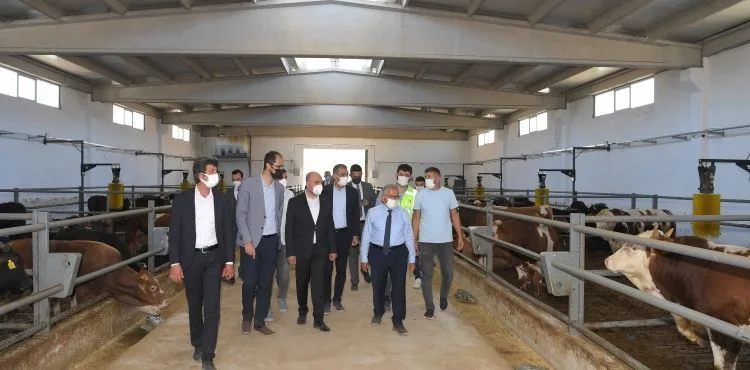 BEYDEĞİRMENİ’NDE BÜYÜKBAŞ BESİ AHIRLARI İÇİN 225 ÖN TALEP, TOKİ ‘YE İLETİLDİ