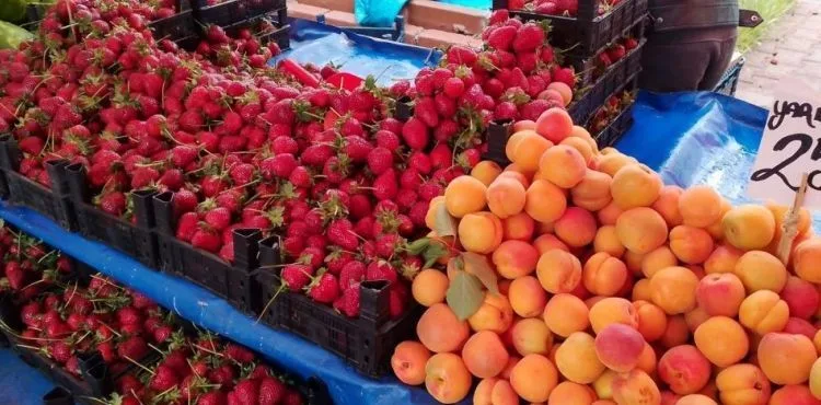 Halk pazarında sebze fiyatları düşüyor