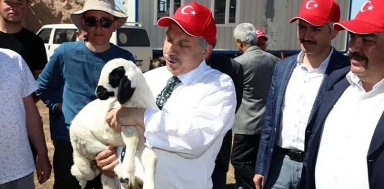 TALAS'TA MİNİKLERİ HEYECANLANDIRAN KUZU KATIMI