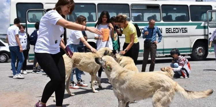 KOCASİNAN BELEDİYESİ’NİN KÜÇÜK DOSTLAR ÇALIŞMALARINA LİSELİ ÖĞRENCİLERİNDEN DESTEK
