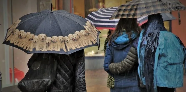 Meteoroloji uyardı: Bugün rüzgar, yarın kuvvetli sağanak yağış geliyor