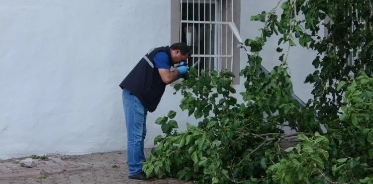 Dut toplamak için çıktığı ağaçtan düşen yaşlı adam yaşamını yitirdi