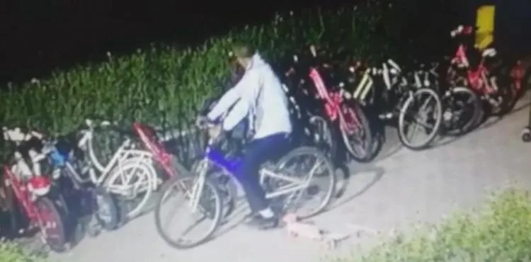 Yürüyerek geldiler, bisikletleri çalıp gittiler