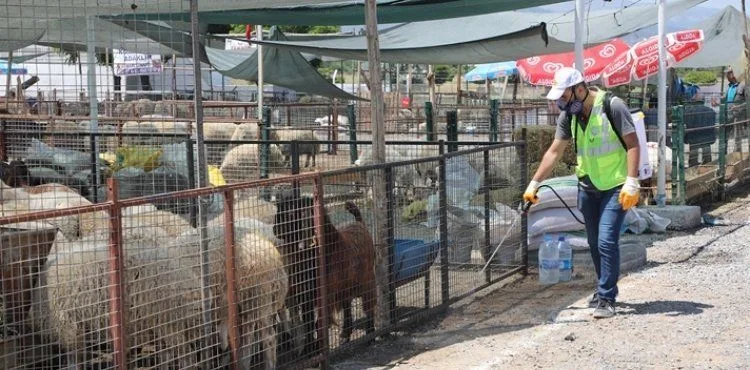 TALAS’IN KURBAN PAZARI’NA TAM NOT