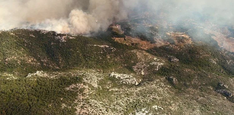Datça'da orman yangını