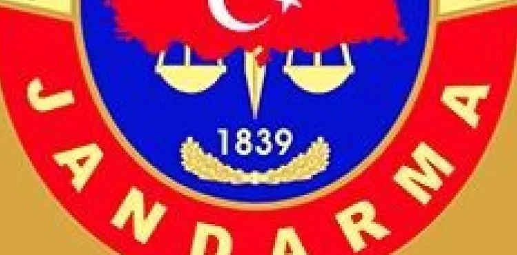 Jandarma 1 ayda 8 farklı suçtan 253 kişiye işlem yaptı