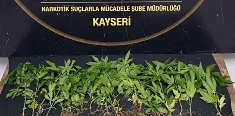 Kayseri'de 1 ayda 143 kişiye uyuşturucudan işlem yapıldı