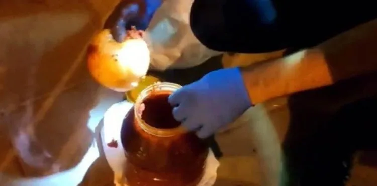 Bidonun içindeki salça içine zulalanmış uyuşturucu madde bulundu