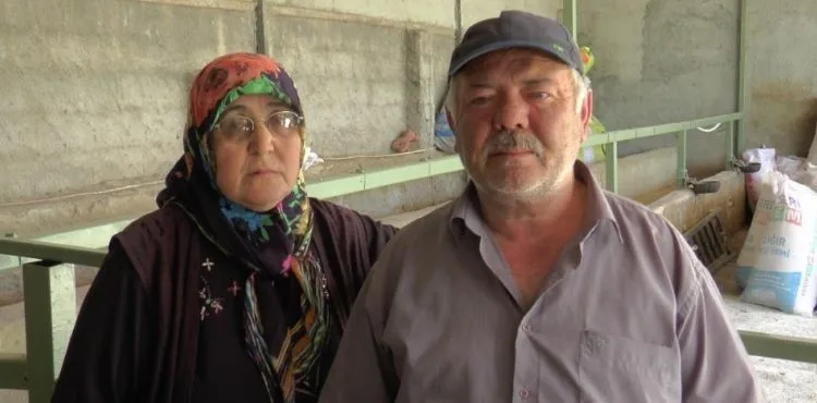Sabah baktıkları hayvanlarını telef olmuş buldular