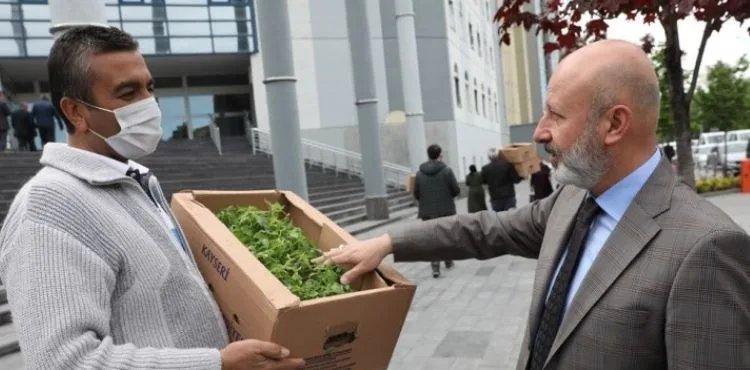 KOCASİNAN’DA DAĞITILAN DOMATES FİDELERİNİN ÜRÜNLERİ KIŞLIK YİYECEK OLDU