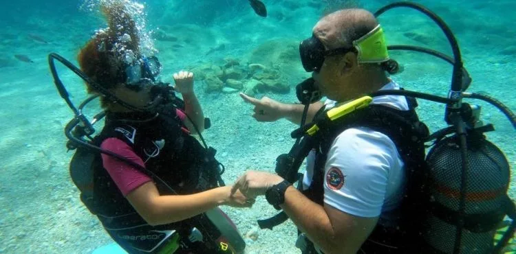 Akdeniz'in su altı dünyasını keşfediyorlar