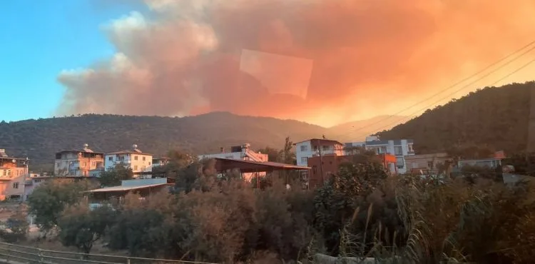Mersin'de orman yangını!