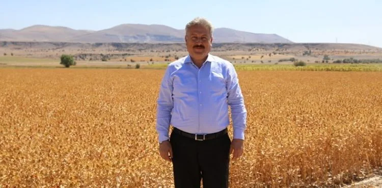 Başkan Dr. Palancıoğlu: “Bölge tarımına destek; Aspir tohumları hasat edilmeye başlandı.”