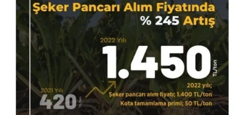 Şeker pancarı alım fiyatı 3’üncü defa güncellendi