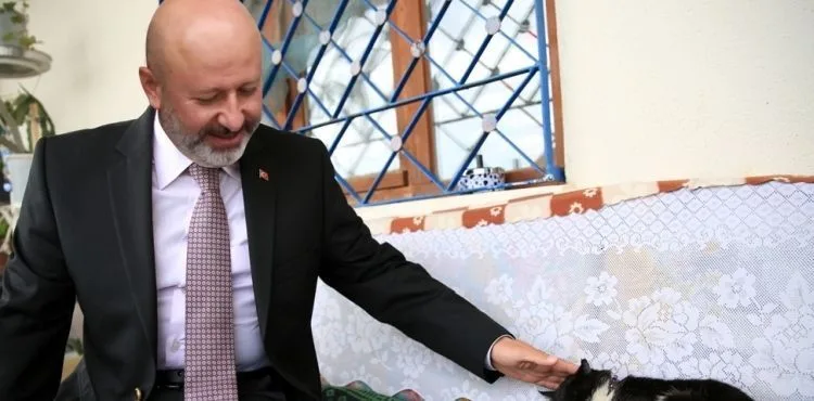 KOCASİNAN’DAN SICAK BİR YUVA; ‘KÜÇÜK DOSTLAR KEDİ KASABASI’