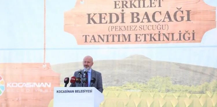 BAŞKAN ÇOLAKBAYRAKDAR’DAN ERKİLET KEDİ BACAĞI ETKİNLİĞİNE DAVET