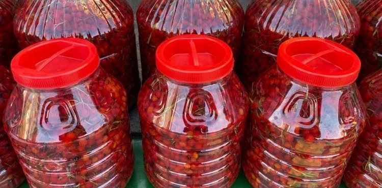 Faydaları saymakla bitmeyen gilaburu yüzde 38 zamlandı
