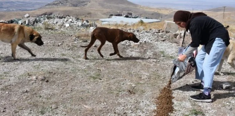 KOCASİNAN BELEDİYESİ’NİN KÜÇÜK DOSTLAR ÇALIŞMALARINA ÜNİVERSİTELİ ÖĞRENCİLERİNDEN DESTEK