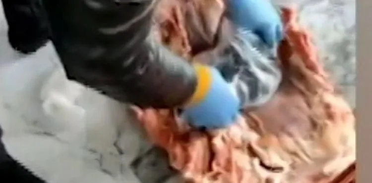 Kayseri’de pastırma, et çalan hırsızlar yakalandı