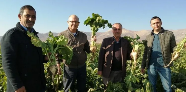 Yeşilhisar’da arpa dan sonra ikinci ürün denemesi