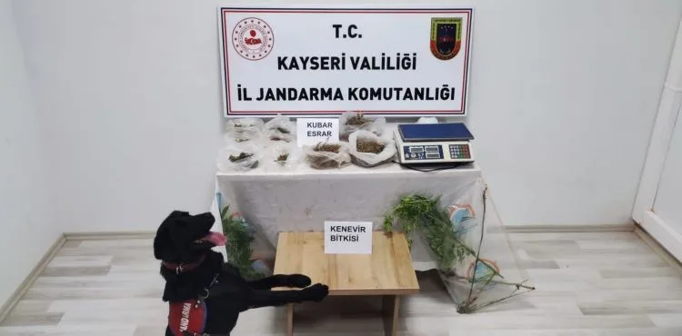 Uyuşturucu ticareti yapan 1 kişi yakalandı