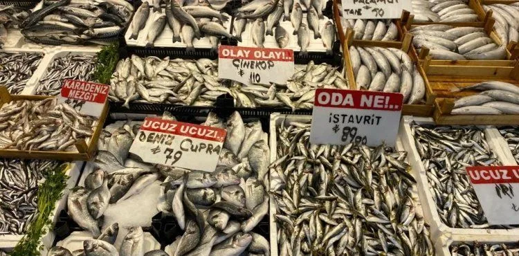Bol çeşit ve uygun fiyat, balığa talebi arttırdı