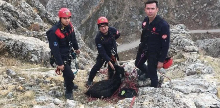 BÜYÜKŞEHİR İTFAİYESİ’NDEN 3 SAATLİK KEÇİ KURTARMA OPERASYONU
