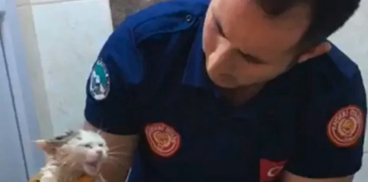 BÜYÜKŞEHİR İTFAİYESİ, TUVALET GİDERİNE SIKIŞAN MİNİK KEDİYİ KURTARDI