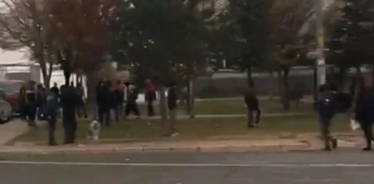 Göç İdaresinin, kaçak göçmenleri parka bıraktığı iddiası
