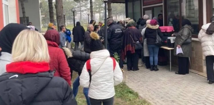 Evcil hayvanların kimliklendirilmesinde sıra yoğunluğu