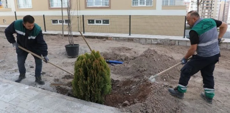 TALAS’TA AĞAÇLANDIRMA SEZONU AÇILDI