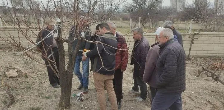 MELİKGAZİ’DEN ARICILIK EKONOMİSİNE DESTEK
