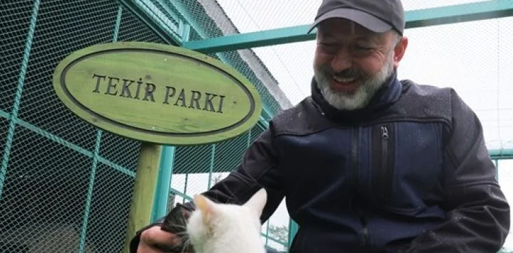 KAYSERİ’DE YİNE İLK OLAN ‘KÜÇÜK DOSTLAR KEDİ KASABASI’