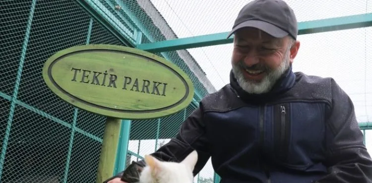 KAYSERİ’DE İLK OLAN SEVİMLİ PATİLER İÇİN ‘KÜÇÜK DOSTLAR KEDİ KASABASI’ AÇILIYOR